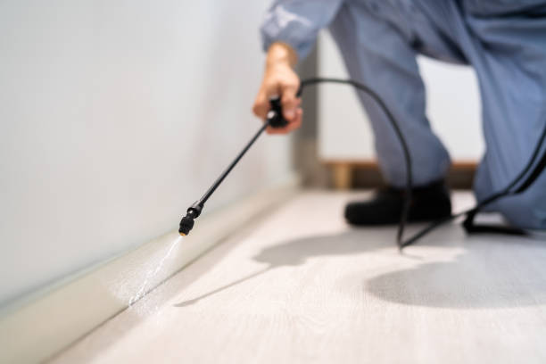 Bed Bug Pre-Treatment Preparation Assessment in Ingram
