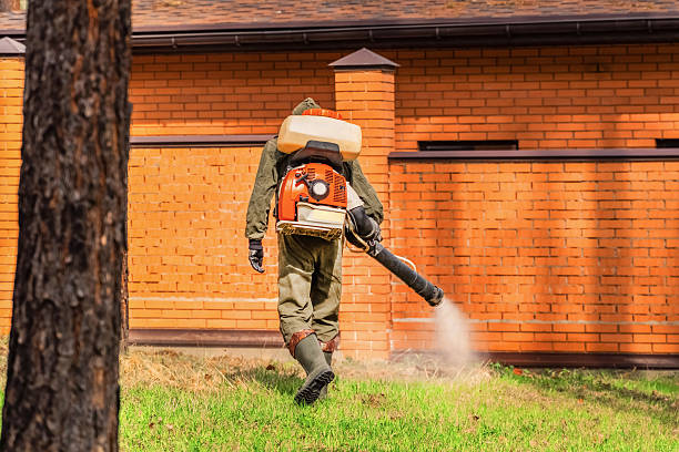 Bed Bug Clearance Verification and Documentation in Ingram